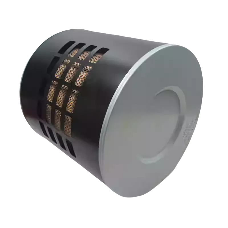 6207636 filtro aria
