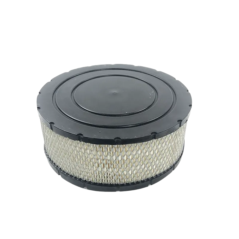 B085009 air filter 1