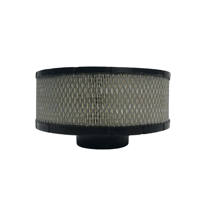 B085009 air filter