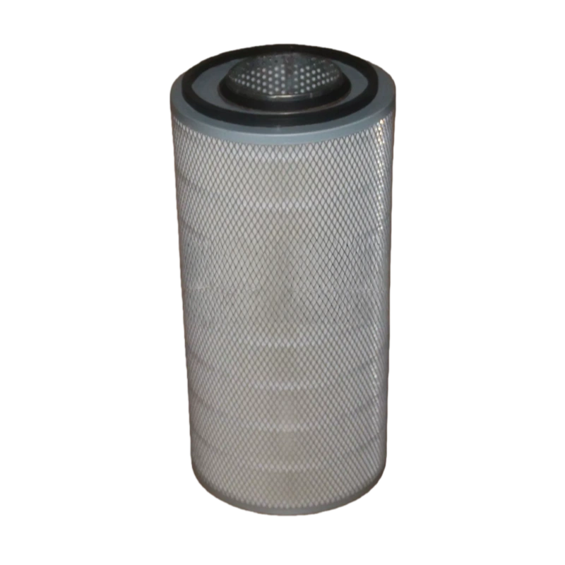view.jpg C24650/1 air filter front view
